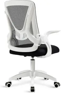 Blisswood-Ergonomic-Office-Chair-Desk-1